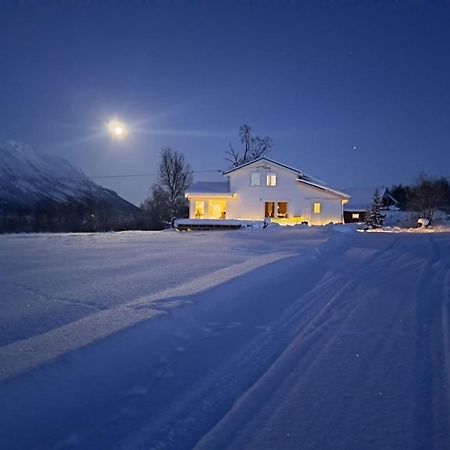 Mountainside Lodge - Breivikeidet Tromsø Kültér fotó