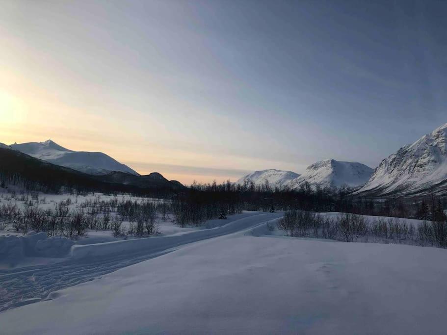 Mountainside Lodge - Breivikeidet Tromsø Kültér fotó