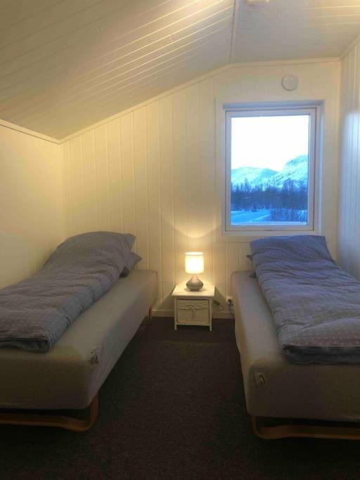 Mountainside Lodge - Breivikeidet Tromsø Kültér fotó