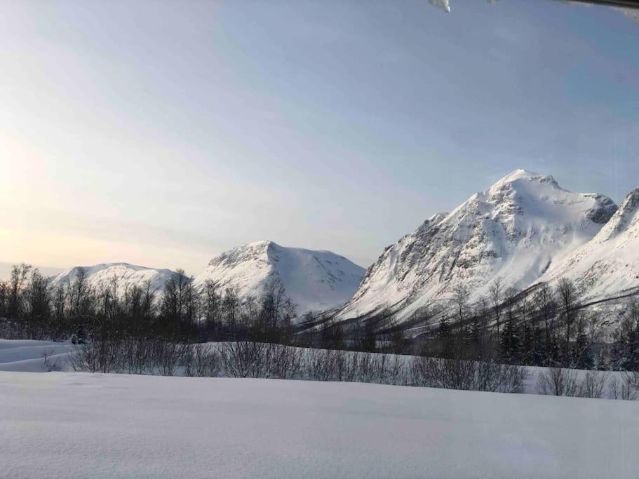 Mountainside Lodge - Breivikeidet Tromsø Kültér fotó