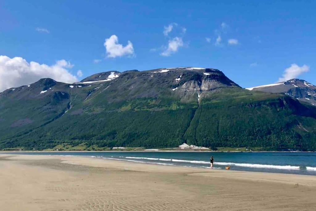 Mountainside Lodge - Breivikeidet Tromsø Kültér fotó