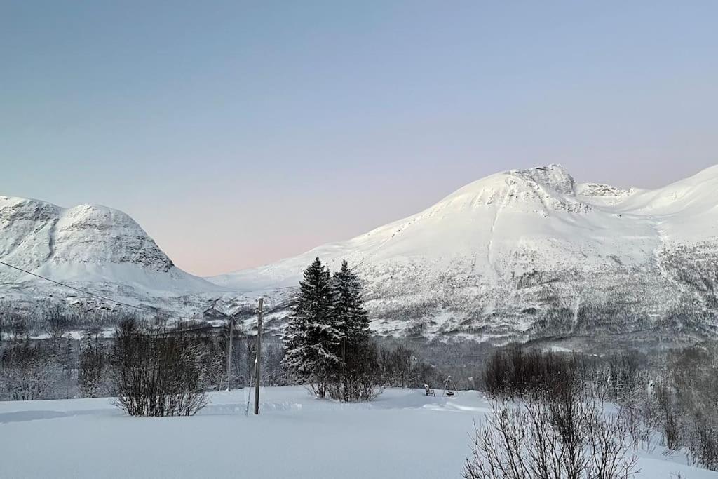 Mountainside Lodge - Breivikeidet Tromsø Kültér fotó