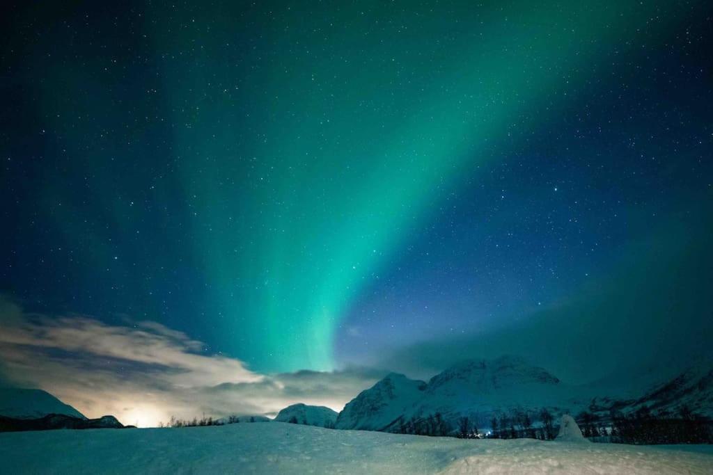 Mountainside Lodge - Breivikeidet Tromsø Kültér fotó