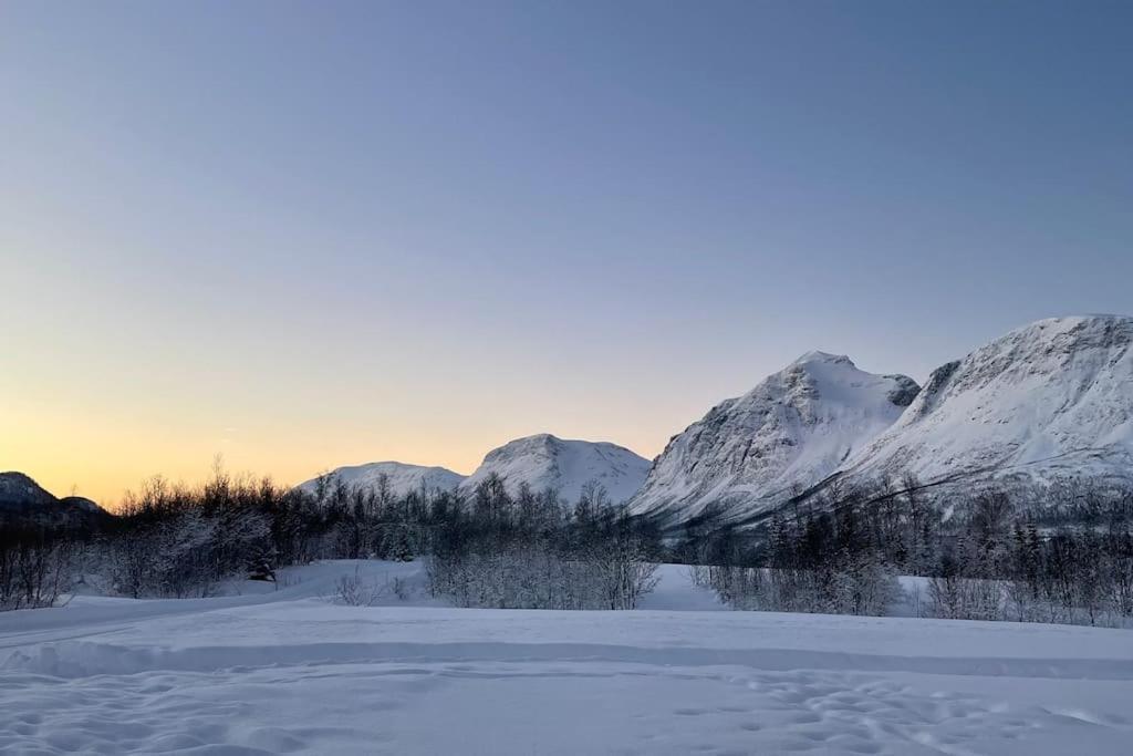 Mountainside Lodge - Breivikeidet Tromsø Kültér fotó