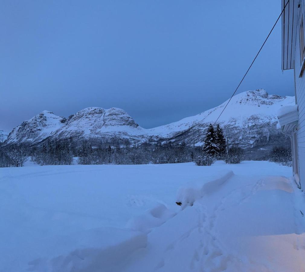 Mountainside Lodge - Breivikeidet Tromsø Kültér fotó