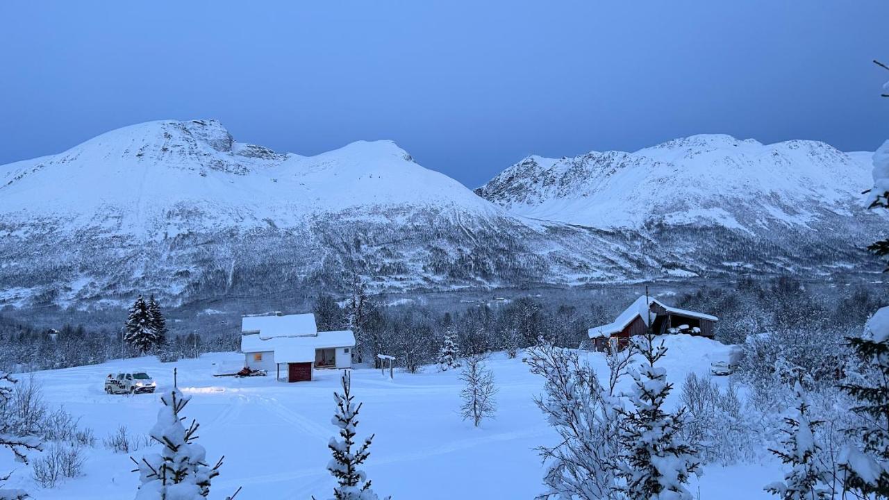 Mountainside Lodge - Breivikeidet Tromsø Kültér fotó