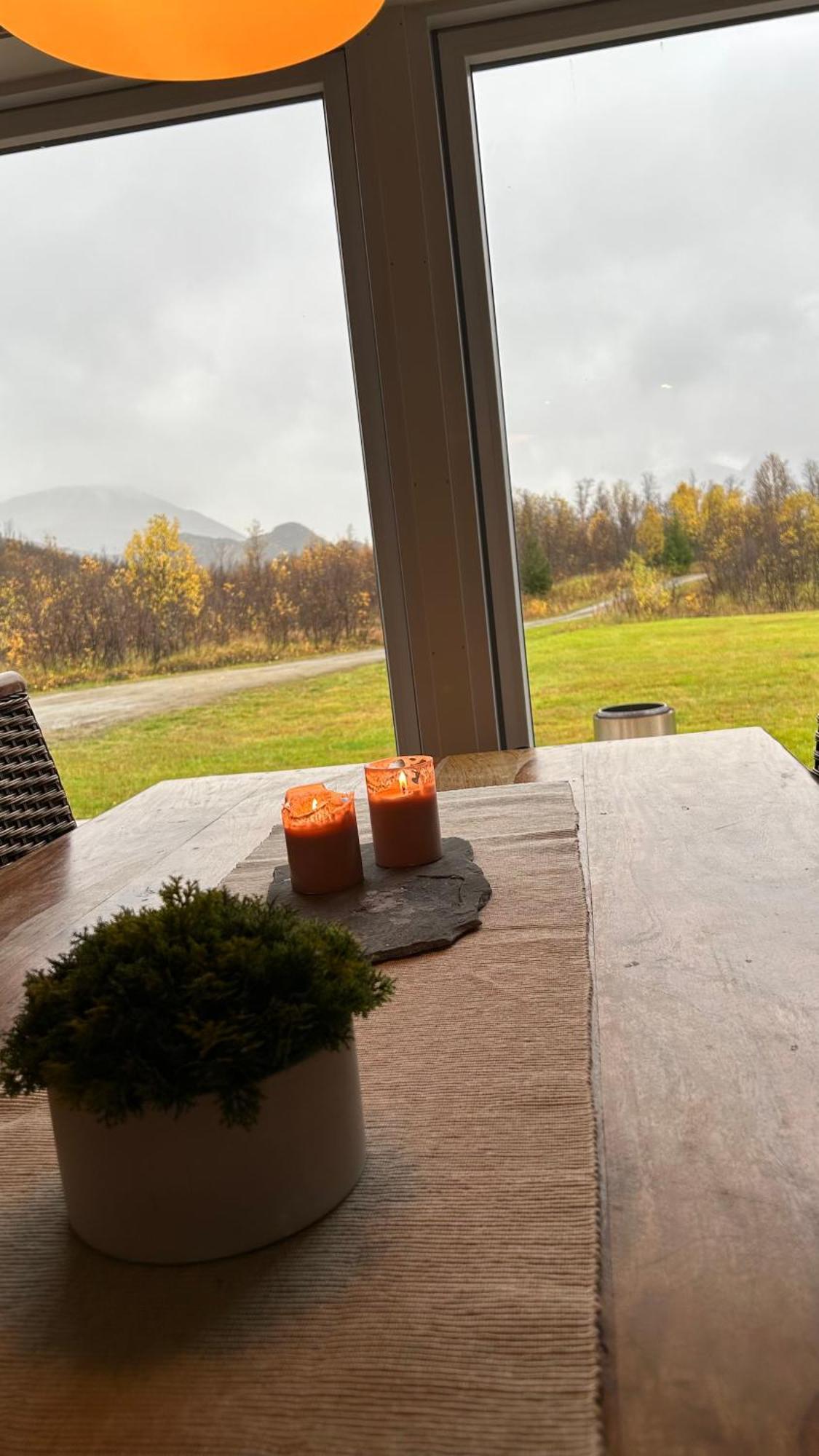 Mountainside Lodge - Breivikeidet Tromsø Kültér fotó